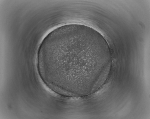 X0000111471523200907271301