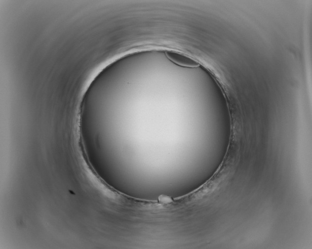 X0000111471524200907271301