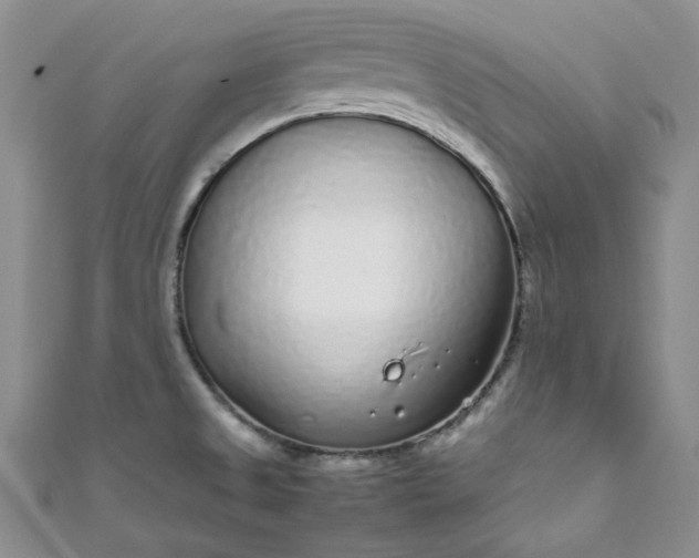 X0000111471525200907271301