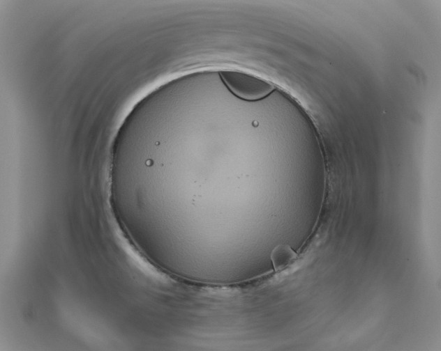 X0000111471526200907271301