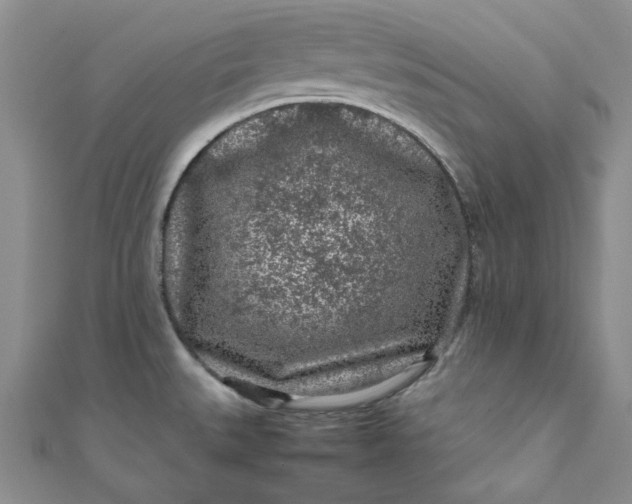 X0000111471527200907271301