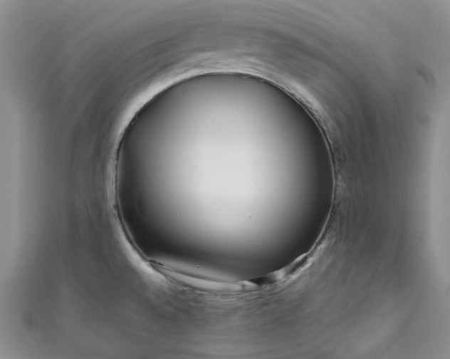 X0000111471528200907271301