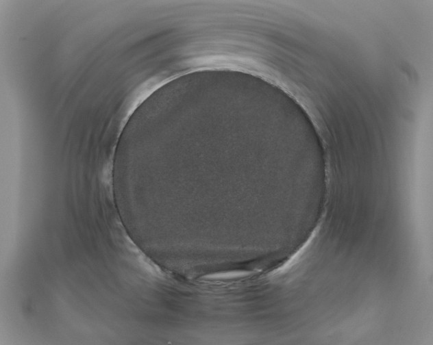 X0000111471529200907271301