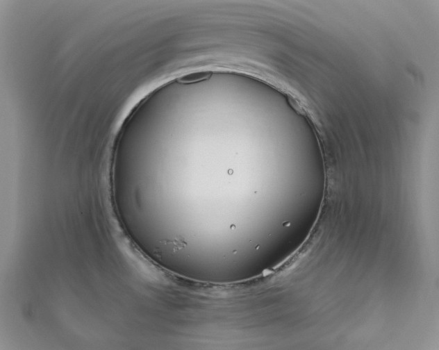 X0000111471530200907271301