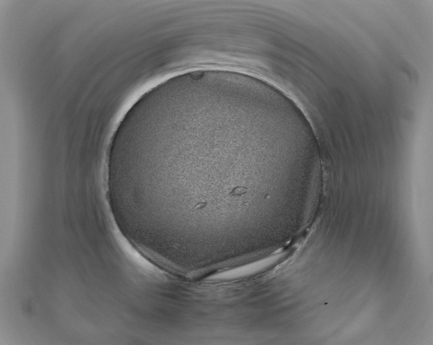 X0000111471531200907271301