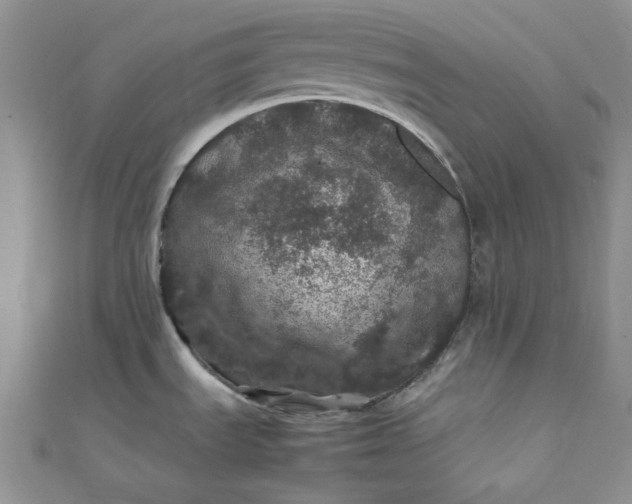 X0000111471535200907271301