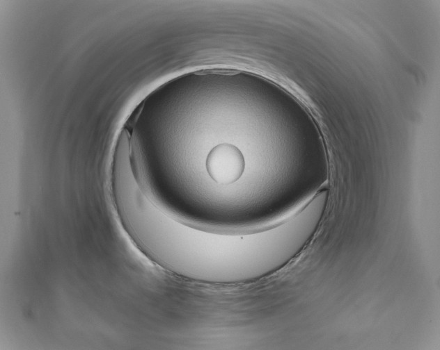 X0000111471536200907271301