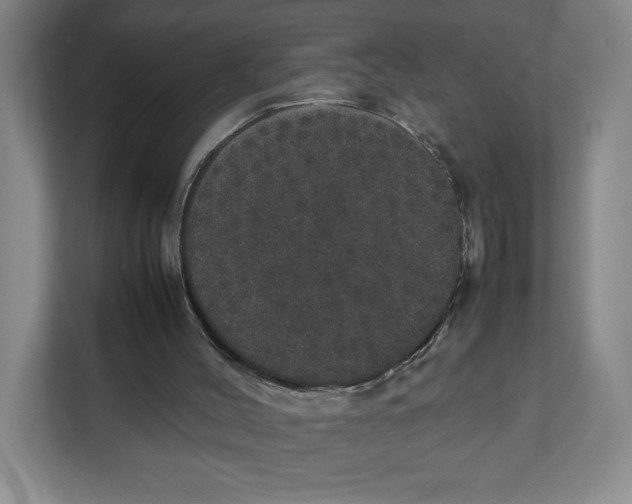 X0000111470004200908031410