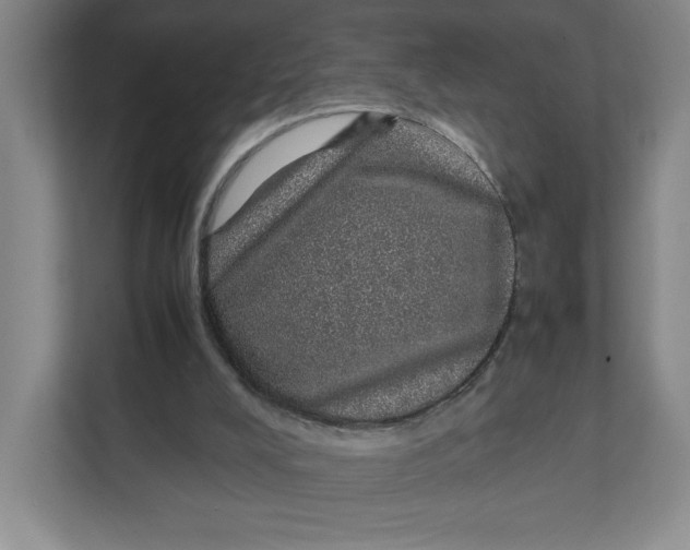 X0000111470008200908031410