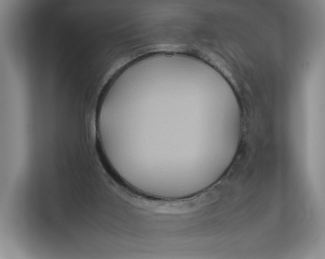 X0000111470011200908031410