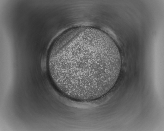 X0000111470012200908031410