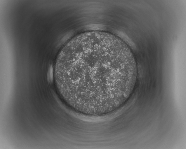 X0000111470014200908031410