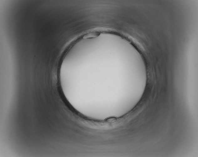 X0000111470015200908031410