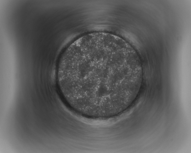 X0000111470016200908031410