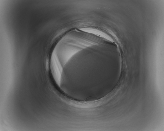 X0000111470019200908031410