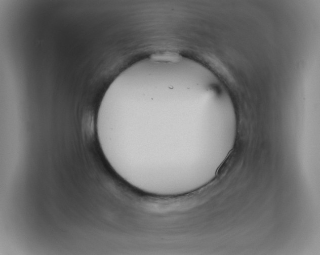 X0000111470021200908031410