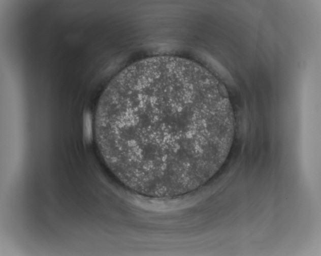 X0000111470022200908031409