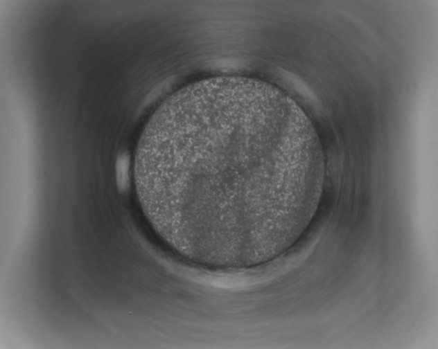 X0000111470024200908031409