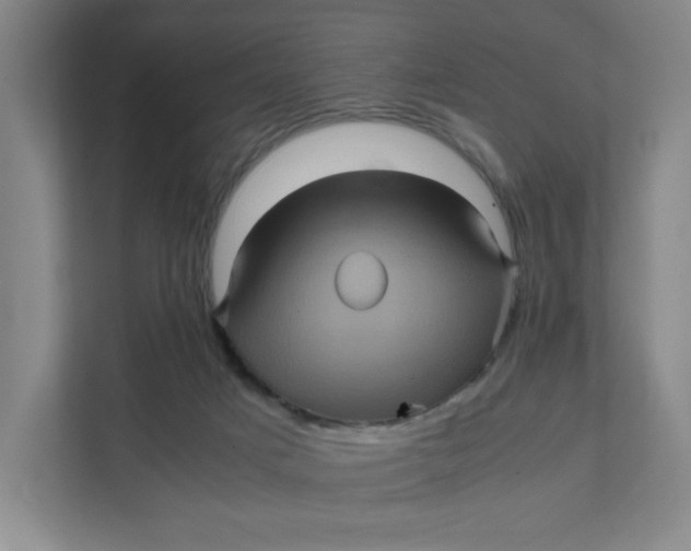 X0000111470025200908031409