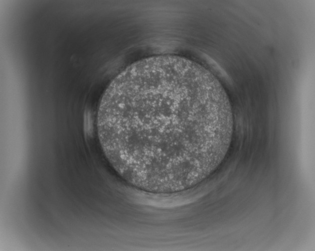 X0000111470026200908031409