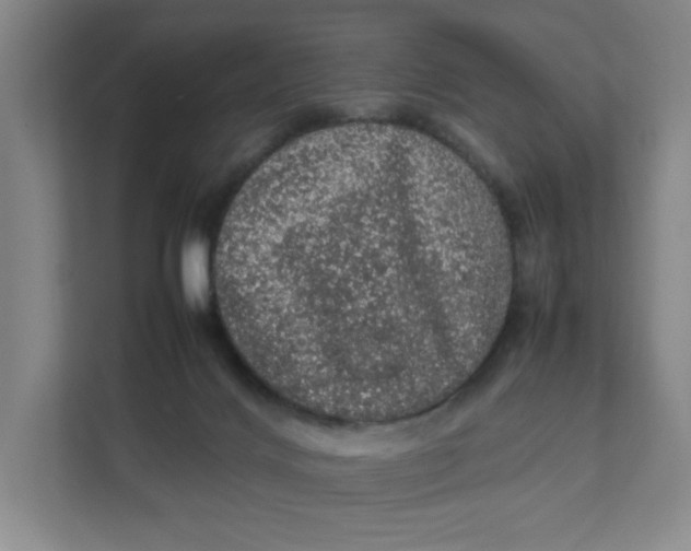 X0000111470028200908031409