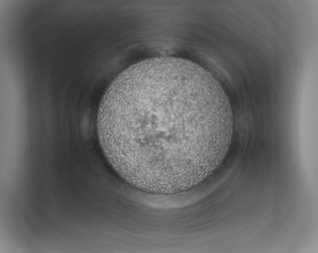 X0000111470030200908031409