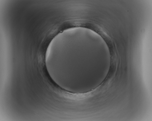 X0000111470031200908031409