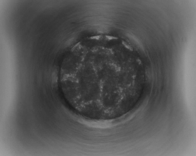 X0000111470032200908031409