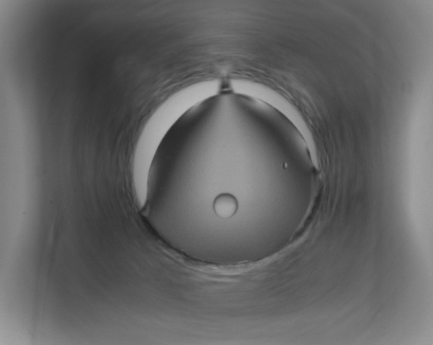 X0000111470033200908031409