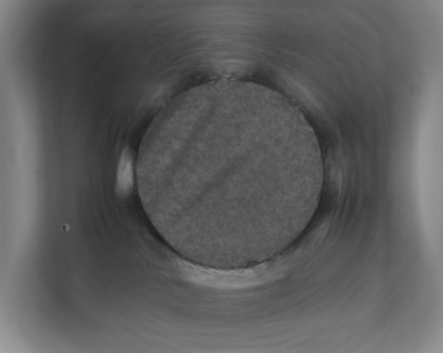 X0000111470042200908031409