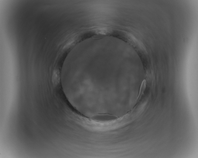 X0000111470043200908031409