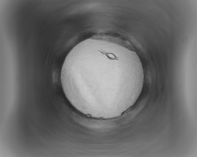 X0000111470044200908031409