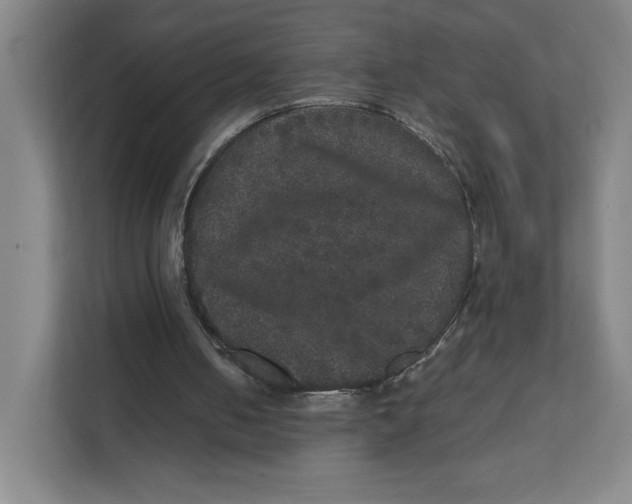 X0000111470050200908031408