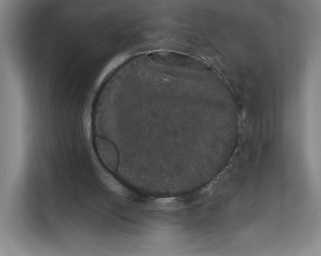 X0000111470054200908031409