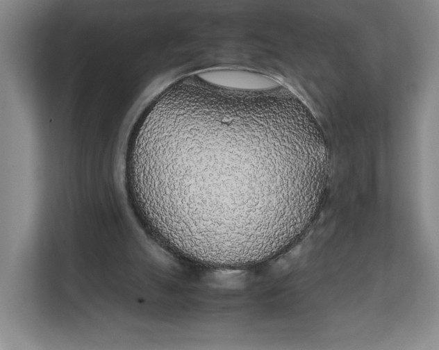 X0000111470055200908031409