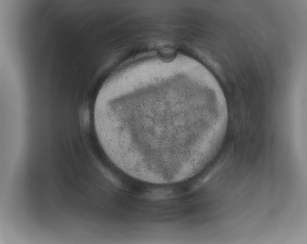 X0000111470067200908031409