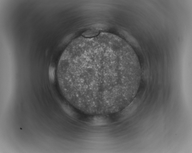 X0000111470070200908031409