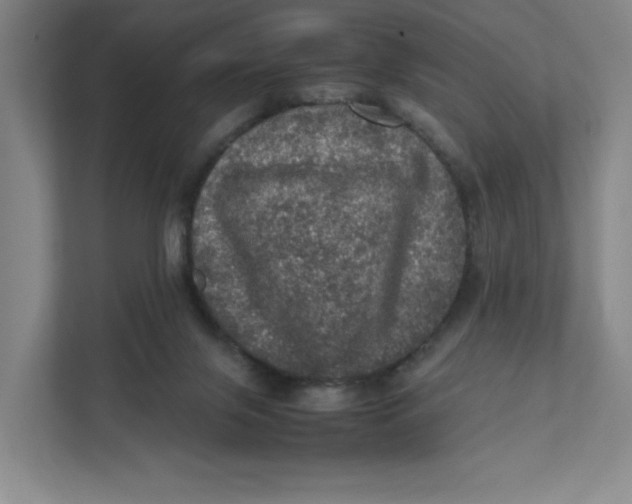 X0000111470071200908031409