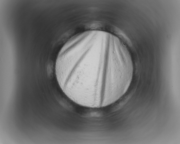 X0000111470073200908031409