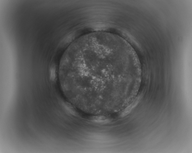 X0000111470074200908031409