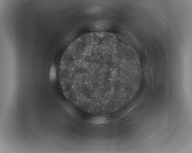 X0000111470075200908031409