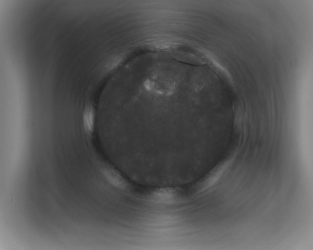 X0000111470076200908031409