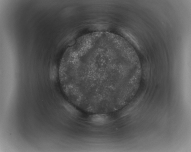 X0000111470077200908031409