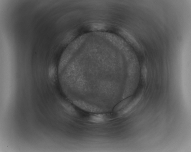 X0000111470079200908031409