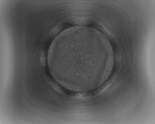 X0000111470080200908031409