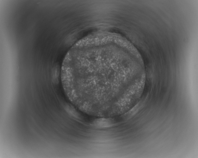 X0000111470082200908031409