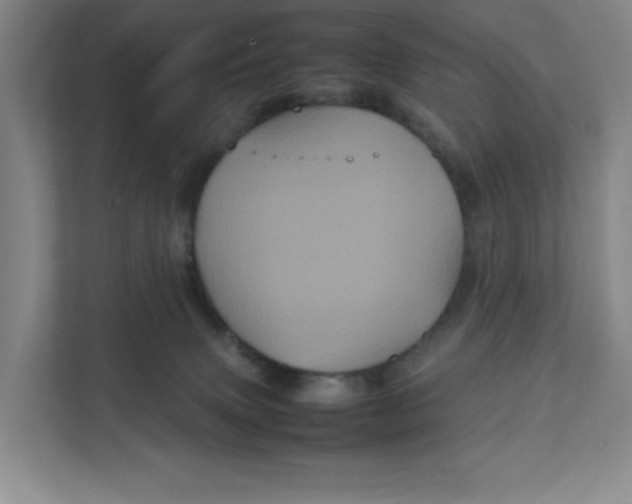 X0000111470083200908031409