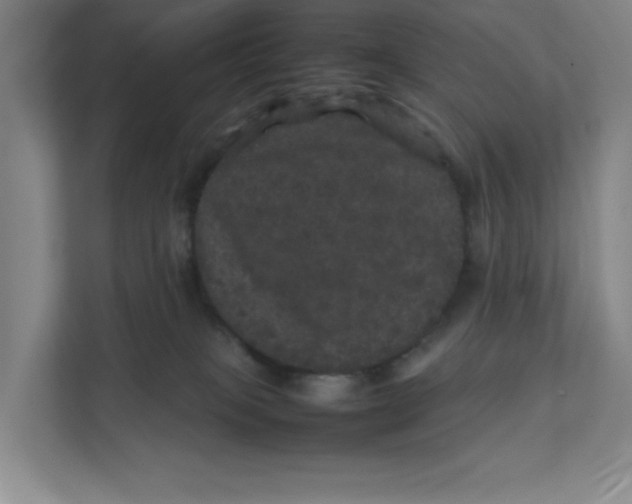 X0000111470085200908031409