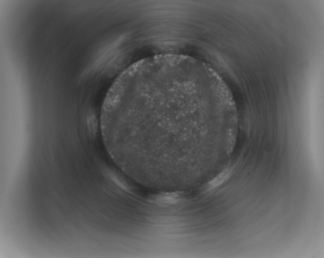 X0000111470086200908031409