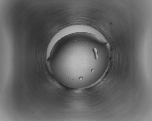 X0000111470092200908031409